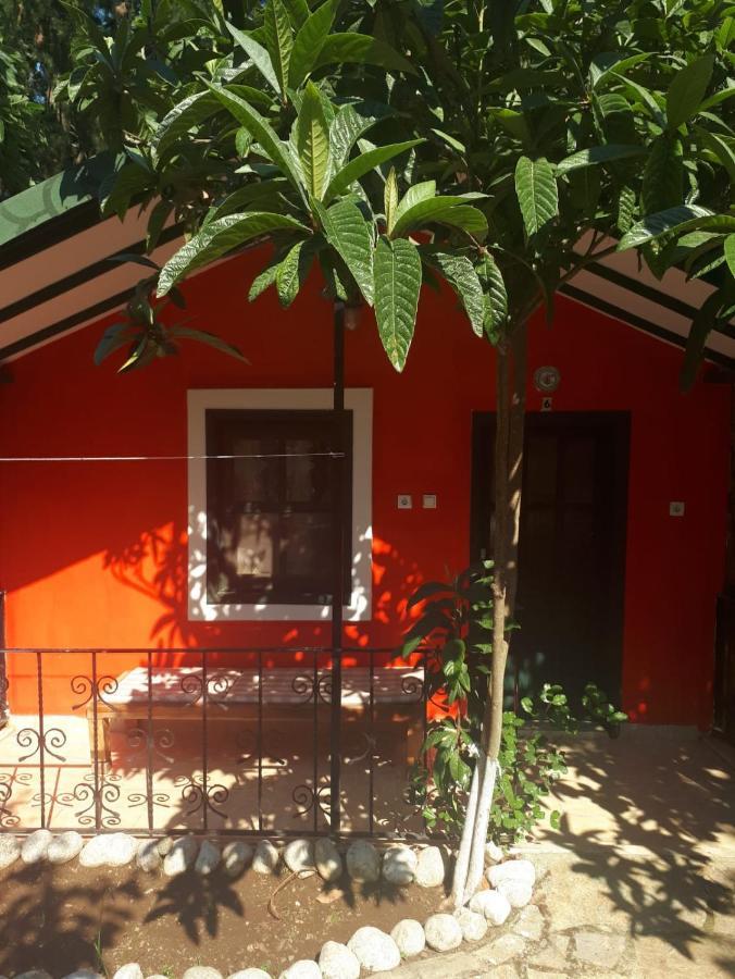 Lıkya Saklibahçe Kemer (Menekse Mahallesi) Exterior foto
