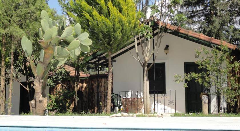 Lıkya Saklibahçe Kemer (Menekse Mahallesi) Exterior foto