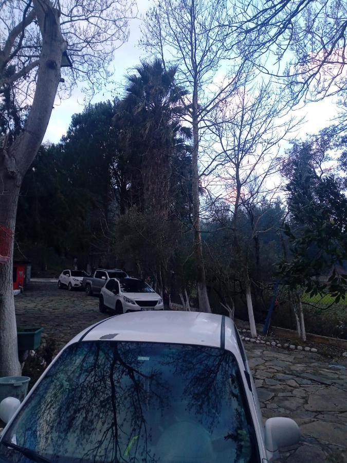 Lıkya Saklibahçe Kemer (Menekse Mahallesi) Exterior foto