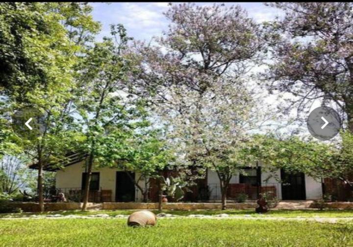 Lıkya Saklibahçe Kemer (Menekse Mahallesi) Exterior foto